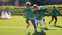 Vier Kinder in grünen Trikots spielen Fußball auf einem grünen Rasen, kleine Tore im Hintergrund.