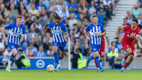 Spieler von Brighton und Liverpool rennen beim Premier-League-Spiel dem Ball hinterher.